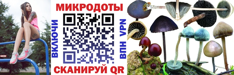 Купить закладки  Нерюнгри  Галлюциногенные грибы MAGIC MUSHROOMS 